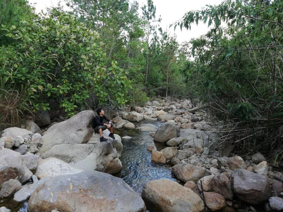 Ecolodge Guancascos, Cabana Para 16 Personas Al Pie Del Pn Celaque Gracias Ngoại thất bức ảnh